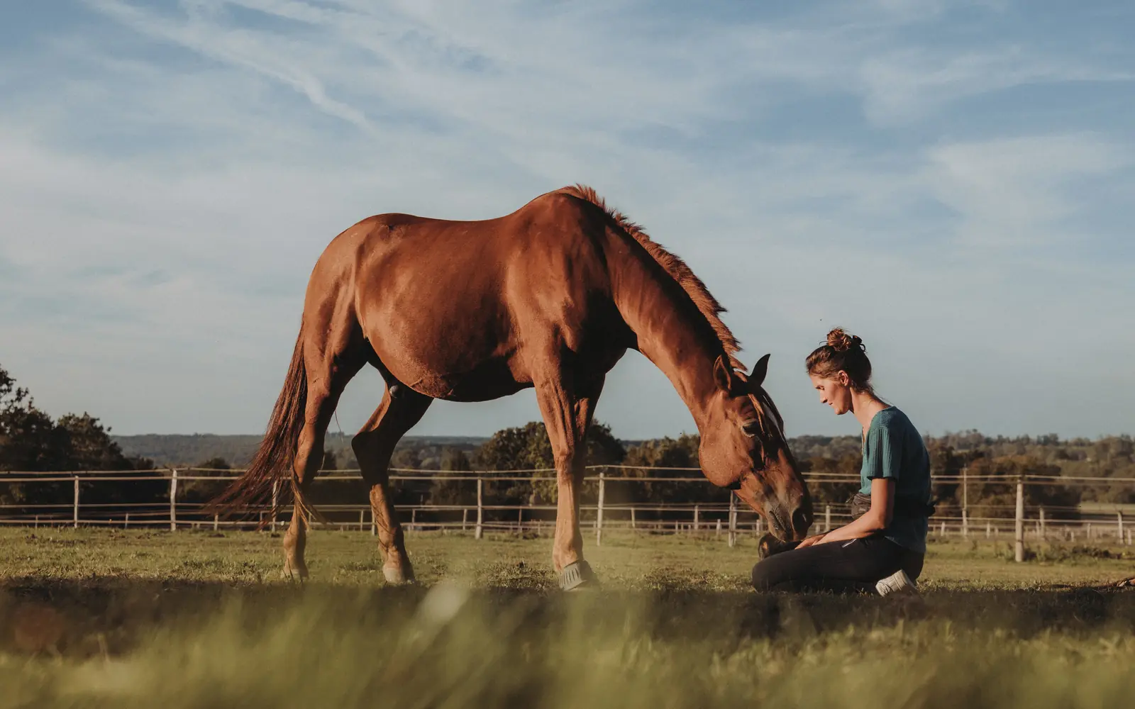 Johanna aupres d'un cheval au pre a l'Ecurie Moulagny